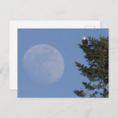 ハゲワシ | Rising Full Moon ポストカード (正面/裏面)