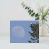 ハゲワシ | Rising Full Moon ポストカード (スタンド正面)