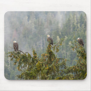 ハゲワシ Tongass National Forest Alaska マウスパッド
