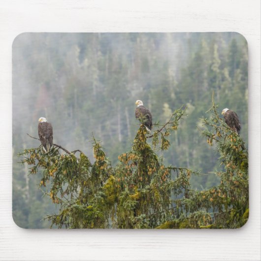 ハゲワシ | Tongass National Forest Alaska マウスパッド (正面)