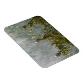 ハゲワシ | Tongass National Forest Alaska マグネット (右側)