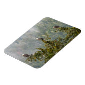 ハゲワシ | Tongass National Forest Alaska マグネット (左側)