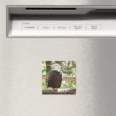 ハゲ型イーグル冷凍機磁石 マグネット (インサイチュ (食洗機))