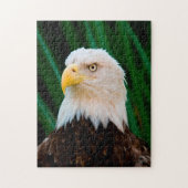 ハゲ威厳のあるワシ ジグソーパズル (縦)