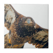 ハゲ素晴らしワシが羽ばたきする タイル (正面)