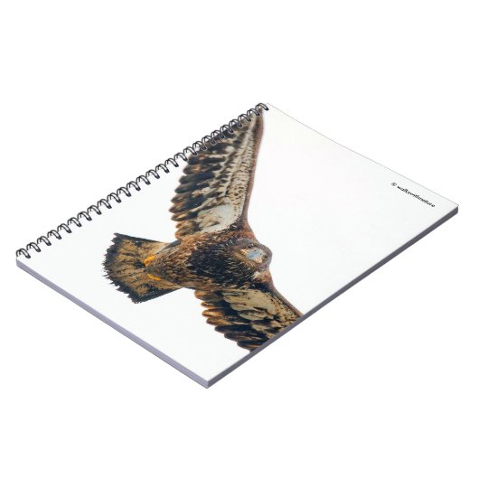 ハゲ素晴らしワシが羽ばたきする ノートブック (左側)