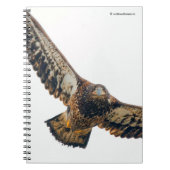 ハゲ素晴らしワシが羽ばたきする ノートブック (正面)