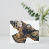 ハゲ素晴らしワシが羽ばたきする ポストカード (スタンド正面)