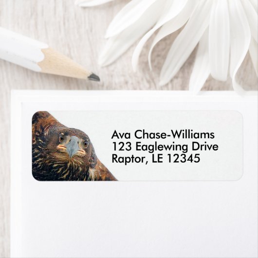 ハゲ素晴らしワシの猛禽が飛び回る ラベル (インサイチュ)