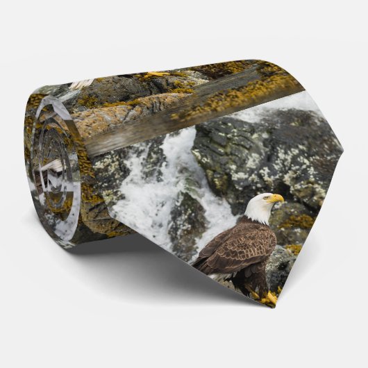 ハゲ誇りを持ったワシ ネクタイ (ロール)