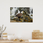 ハゲ誇りを持ったワシ ポスター (キッチン)