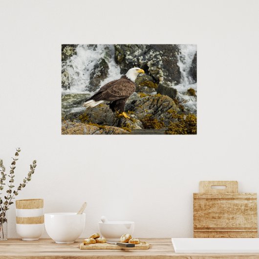 ハゲ誇りを持ったワシ ポスター (キッチン)