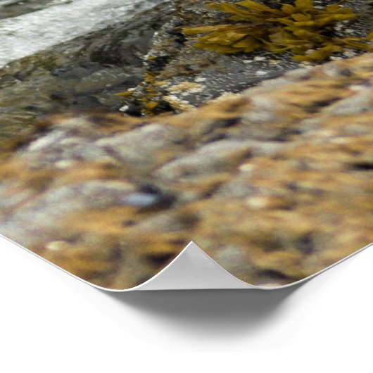 ハゲ誇りを持ったワシ ポスター (角)