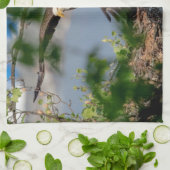 ハゲ離れワシの巣 キッチンタオル (折り畳み)