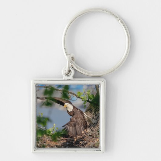 ハゲ離れワシの巣 キーホルダー (正面)