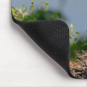 ハゲ離れワシの巣 マウスパッド (コーナー)