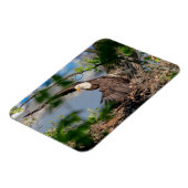 ハゲ離れワシの巣 マグネット (左側)