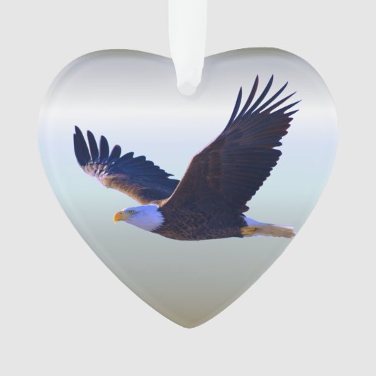 ハゲ飛んでいるワシ オーナメント (正面)