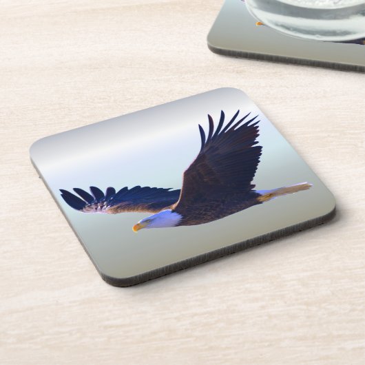 ハゲ飛んでいるワシ コースター (左側)