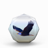 ハゲ飛んでいるワシ フォトブロック (正面)