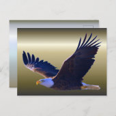 ハゲ飛んでいるワシ ポストカード (正面/裏面)