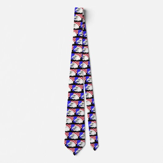 ハゲ鷲とアメリカ国旗 ネクタイ (正面)