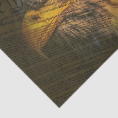 ハゲ鷲の体質 薄葉紙 (詳細)