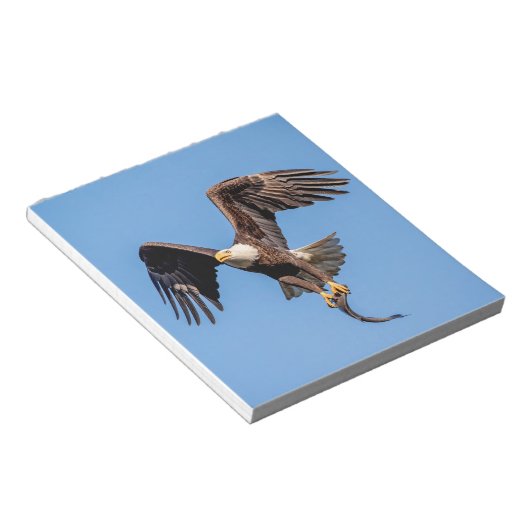 ハゲ鷲 ノートパッド (アングル)