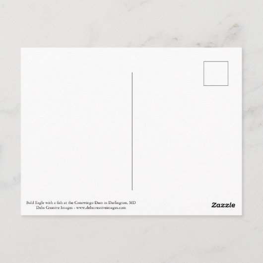 ハゲ鷲 ポストカード (裏面)