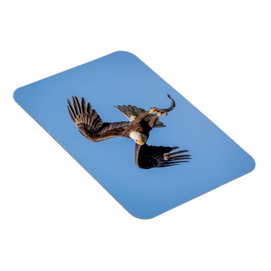 ハゲ鷲 マグネット (右側)