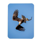 ハゲ鷲 マグネット (縦)