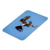 ハゲ鷲 マグネット (左側)