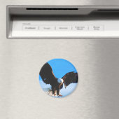 ハゲ・アメリカン・イーグル マグネット (インサイチュ (食洗機))