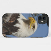 ハゲ・イーグルのクローズアップ・ヘッドショット Case-Mate iPhoneケース (裏面(横))