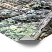 ハゲ・イーグルの出会い ポスター (角)