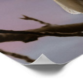 ハゲ・イーグル満月イ威厳のあるーグル ポスター (角)