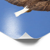 ハゲ・イーグル飛行 フォトプリント            (角)