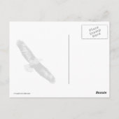 ハゲ・イーグル飛躍 ポストカード (裏面)