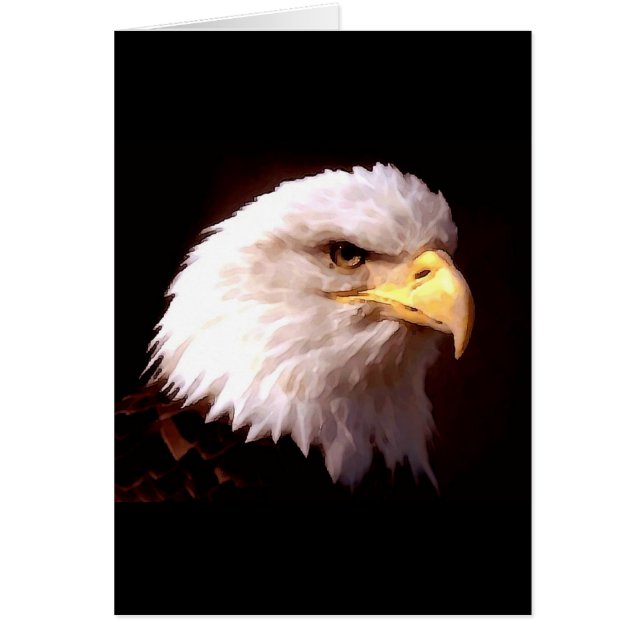 ハゲ・イーグル (正面)