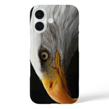 ハゲ・イーグル・イフクナ