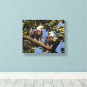 ハゲ・イーグル・カップル キャンバスプリント (インサイチュ (ウッドフロア))