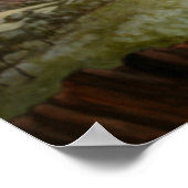 ハゲ・イーグル・ポスター ポスター (角)