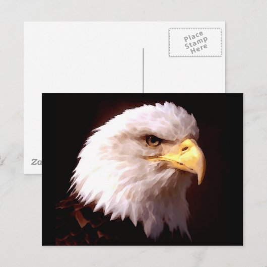 ハゲ・イーグル ポストカード (正面/裏面)