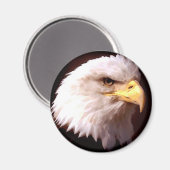ハゲ・イーグル マグネット (正面/裏面)