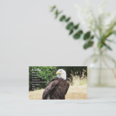 ハゲ・イーグル。 名刺 (スタンド正面)