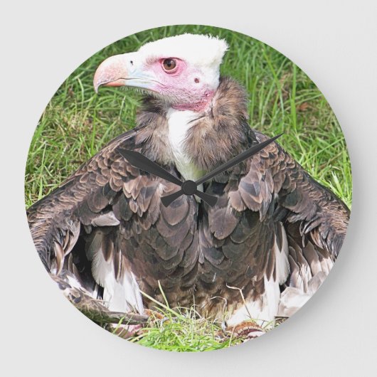 ハゲ ラージ壁時計 (正面)