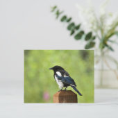 ハサギ ポストカード (スタンド正面)