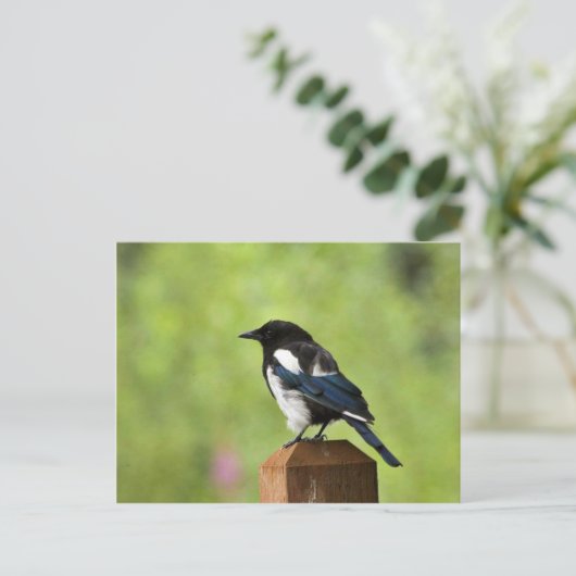 ハサギ ポストカード (スタンド正面)