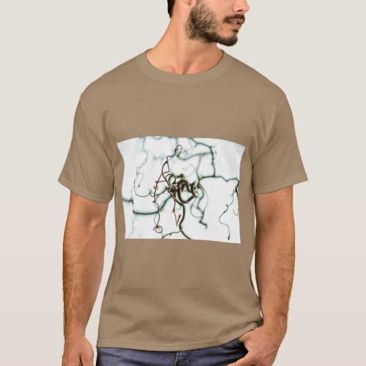 ハシバミの木のボタニカルアートTシャツ Tシャツ (正面)