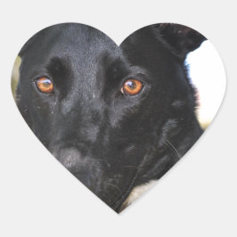 ハシバミの目をした美しい犬 ハートシール